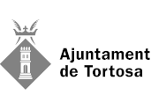 Web Accesible Ayuntamiento Tortosa